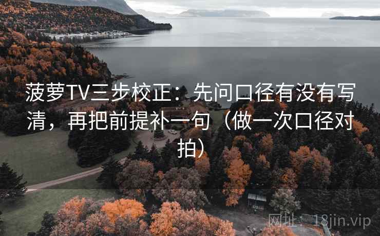 菠萝TV三步校正：先问口径有没有写清，再把前提补一句（做一次口径对拍）